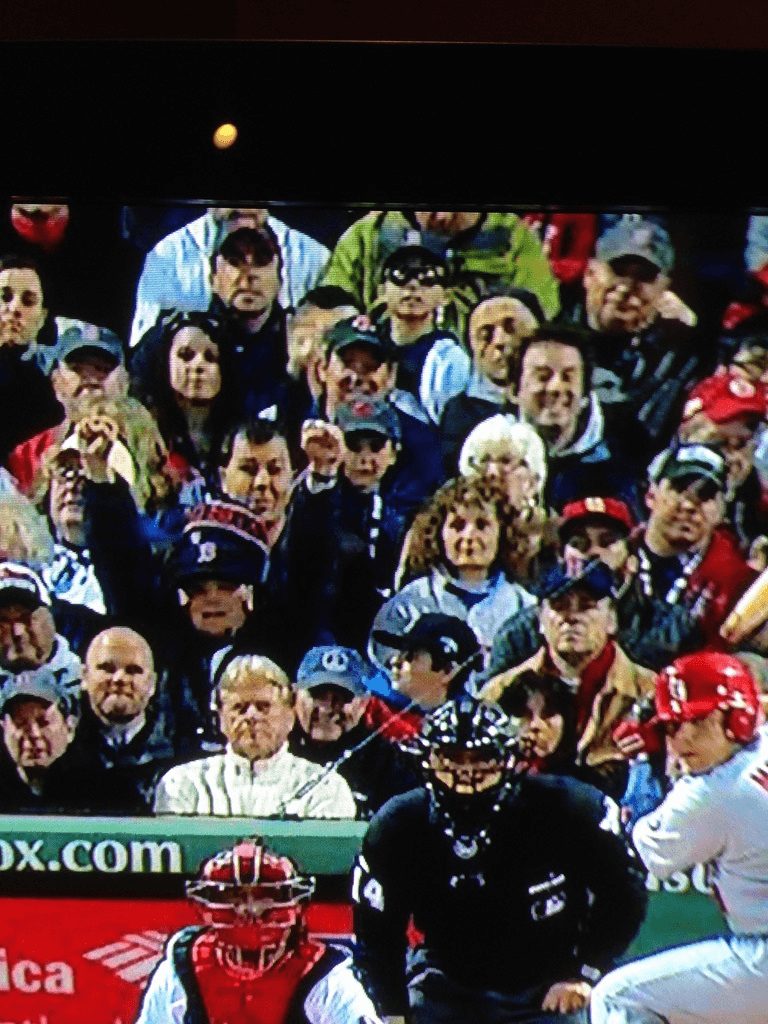 Fans in the stands at a game